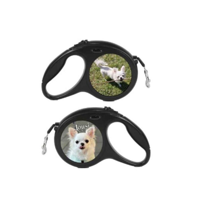 Πτυσσόμενο λουρί σκύλου 4m με φωτογραφία και όνομα - Image 1